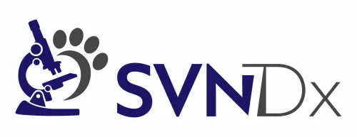 SVNDx PLLC  